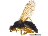  ( - BIOUG11192-A11)  @14 [ ] CreativeCommons - Attribution (2015) CBG Photography Group Centre for Biodiversity Genomics