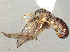  ( - BIOUG12542-A05)  @11 [ ] CreativeCommons - Attribution Share - Alike (2025) CBG Photography Group Centre for Biodiversity Genomics