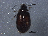  ( - BIOUG13204-H04)  @13 [ ] CreativeCommons - Attribution (2014) CBG Photography Group Centre for Biodiversity Genomics