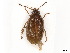  ( - BIOUG13521-G02)  @11 [ ] CreativeCommons - Attribution (2024) CBG Photography Group Centre for Biodiversity Genomics