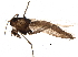  ( - BIOUG17049-G12)  @13 [ ] CreativeCommons - Attribution (2015) CBG Photography Group Centre for Biodiversity Genomics