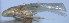  ( - D-44)  @11 [ ] Copyright (2010) Unspecified Northwest Agriculture and Forest University