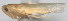  ( - D-6)  @11 [ ] Copyright (2010) Unspecified Northwest Agriculture and Forest University