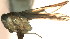  ( - D-90.2)  @11 [ ] Copyright (2010) Unspecified Northwest Agriculture and Forest University