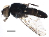  ( - BIOUG17283-G10)  @14 [ ] CreativeCommons - Attribution (2015) CBG Photography Group Centre for Biodiversity Genomics