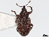  ( - BIOUG17638-A05)  @11 [ ] CreativeCommons - Attribution (2020) CBG Photography Group Centre for Biodiversity Genomics