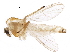  ( - BIOUG18132-G12)  @13 [ ] CreativeCommons - Attribution (2015) CBG Photography Group Centre for Biodiversity Genomics