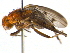  ( - BIOUG04536-E04)  @12 [ ] CreativeCommons - Attribution (2013) CBG Photography Group Centre for Biodiversity Genomics
