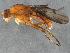  ( - BIOUG05836-A04)  @13 [ ] CreativeCommons - Attribution (2014) CBG Photography Group Centre for Biodiversity Genomics