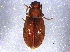  ( - BIOUG05881-D02)  @13 [ ] CreativeCommons - Attribution (2014) CBG Photography Group Centre for Biodiversity Genomics