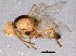  ( - BIOUG06535-E07)  @12 [ ] CreativeCommons - Attribution (2014) CBG Photography Group Centre for Biodiversity Genomics