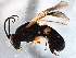  ( - BIOUG05839-C12)  @14 [ ] CreativeCommons - Attribution (2014) CBG Photography Group Centre for Biodiversity Genomics