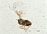  ( - BIOUG03235-E09)  @12 [ ] CreativeCommons - Attribution (2013) CBG Photography Group Centre for Biodiversity Genomics
