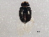  ( - BIOUG03236-F04)  @13 [ ] CreativeCommons - Attribution (2013) CBG Photography Group Centre for Biodiversity Genomics
