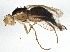  ( - BIOUG03327-H02)  @14 [ ] CreativeCommons - Attribution (2013) CBG Photography Group Centre for Biodiversity Genomics