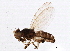  ( - BIOUG02459-B03)  @13 [ ] CreativeCommons - Attribution (2013) CBG Photography Group Centre for Biodiversity Genomics