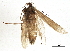  ( - BIOUG03197-E12)  @12 [ ] CreativeCommons - Attribution (2013) CBG Photography Group Centre for Biodiversity Genomics