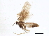  ( - BIOUG03197-G12)  @12 [ ] CreativeCommons - Attribution (2013) CBG Photography Group Centre for Biodiversity Genomics