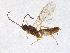 ( - BIOUG03379-G11)  @13 [ ] CreativeCommons - Attribution (2014) CBG Photography Group Centre for Biodiversity Genomics