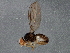  ( - BIOUG03474-A10)  @14 [ ] CreativeCommons - Attribution (2013) CBG Photography Group Centre for Biodiversity Genomics