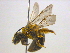  ( - BIOUG03609-C06)  @13 [ ] CreativeCommons - Attribution (2012) CBG Photography Group Centre for Biodiversity Genomics