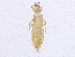  ( - BIOUG03483-C02)  @13 [ ] CreativeCommons - Attribution (2014) CBG Photography Group Centre for Biodiversity Genomics