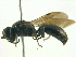  ( - BIOUG04179-C11)  @14 [ ] CreativeCommons - Attribution (2013) CBG Photography Group Centre for Biodiversity Genomics