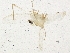  ( - BIOUG04246-B10)  @12 [ ] CreativeCommons - Attribution (2014) CBG Photography Group Centre for Biodiversity Genomics