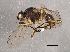  ( - BIOUG04256-H01)  @13 [ ] CreativeCommons - Attribution (2014) CBG Photography Group Centre for Biodiversity Genomics