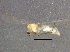  ( - BIOUG04327-H04)  @13 [ ] CreativeCommons - Attribution (2014) CBG Photography Group Centre for Biodiversity Genomics