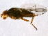  ( - BIOUG04377-E03)  @12 [ ] CreativeCommons - Attribution (2014) CBG Photography Group Centre for Biodiversity Genomics
