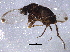  ( - BIOUG07513-H07)  @14 [ ] CreativeCommons - Attribution (2014) CBG Photography Group Centre for Biodiversity Genomics