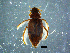  ( - DBCACOLE_AIA125)  @11 [ ] CreativeCommons - Attribution Non-Commercial Share-Alike (2019) DBCA Department of Biodiversity, Conservation and Attractions