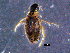  ( - DBCACOLE_AIA220)  @11 [ ] CreativeCommons - Attribution Non-Commercial Share-Alike (2019) DBCA Department of Biodiversity, Conservation and Attractions