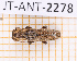  ( - JT-ANT-2278)  @11 [ ] CC-By (2025) Julien Touroult MNHN