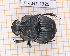  (Phanaeus prasinus - JT-ANT-2329)  @11 [ ] CC-By (2025) Julien Touroult MNHN