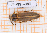 ( - BC-JT-ANT-389)  @11 [ ] Copyright (2020) Julien Touroult Museum national d'Histoire naturelle