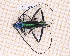  (Callichroma viridipes - JT-GF-530)  @11 [ ] CC-By (2025) Julien Touroult MNHN
