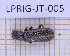  ( - LPRIG-JT-005)  @11 [ ] CC-By (2025) Julien Touroult MNHN