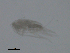  ( - BIOUG01718-D06)  @12 [ ] CreativeCommons - Attribution (2013) CBG Photography Group Centre for Biodiversity Genomics