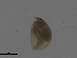  ( - BIOUG01718-F01)  @12 [ ] CreativeCommons - Attribution (2013) CBG Photography Group Centre for Biodiversity Genomics