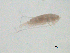 ( - BIOUG03325-A09)  @12 [ ] CreativeCommons - Attribution (2013) CBG Photography Group Centre for Biodiversity Genomics