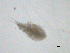  ( - BIOUG03325-A11)  @13 [ ] CreativeCommons - Attribution (2013) CBG Photography Group Centre for Biodiversity Genomics