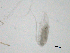 ( - BIOUG03325-H01)  @12 [ ] CreativeCommons - Attribution (2013) CBG Photography Group Centre for Biodiversity Genomics