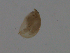  ( - BIOUG03326-A01)  @12 [ ] CreativeCommons - Attribution (2013) CBG Photography Group Centre for Biodiversity Genomics