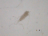  ( - BIOUG03326-B01)  @12 [ ] CreativeCommons - Attribution (2013) CBG Photography Group Centre for Biodiversity Genomics
