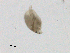  ( - BIOUG03326-F01)  @12 [ ] CreativeCommons - Attribution (2013) CBG Photography Group Centre for Biodiversity Genomics