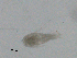  ( - BIOUG03326-G07)  @13 [ ] CreativeCommons - Attribution (2013) CBG Photography Group Centre for Biodiversity Genomics