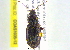  ( - BIOUG02565-B08)  @13 [ ] CreativeCommons - Attribution (2013) CBG Photography Group Centre for Biodiversity Genomics