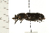  ( - HLC-24690)  @14 [ ] CreativeCommons - Attribution (2008) Unspecified Centre for Biodiversity Genomics